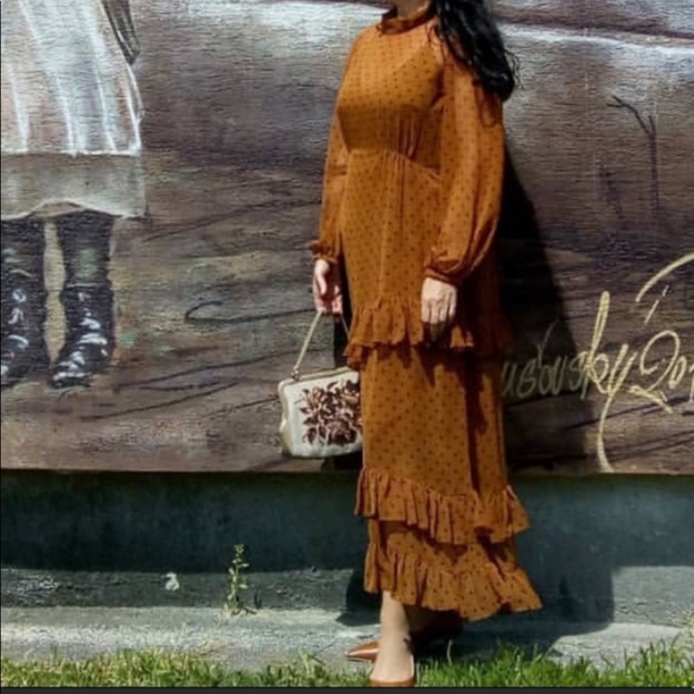 Zara brown polka dot maxi dress - Picture 2 of 7